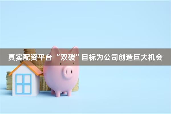 真实配资平台 “双碳”目标为公司创造巨大机会