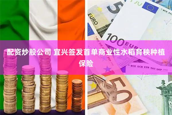 配资炒股公司 宜兴签发首单商业性水稻育秧种植保险