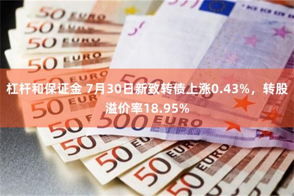 杠杆和保证金 7月30日新致转债上涨0.43%，转股溢价率18.95%