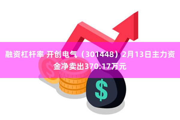融资杠杆率 开创电气（301448）2月13日主力资金净卖出370.17万元