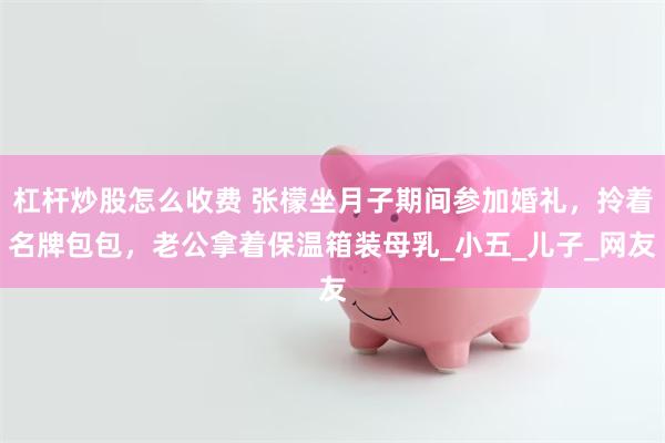 杠杆炒股怎么收费 张檬坐月子期间参加婚礼，拎着名牌包包，老公拿着保温箱装母乳_小五_儿子_网友