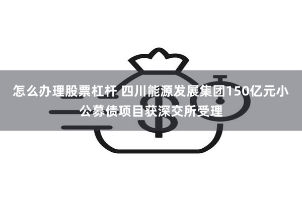 怎么办理股票杠杆 四川能源发展集团150亿元小公募债项目获深交所受理